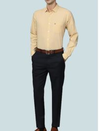 Allen Solly Men's Regular Fit Formal Shirt