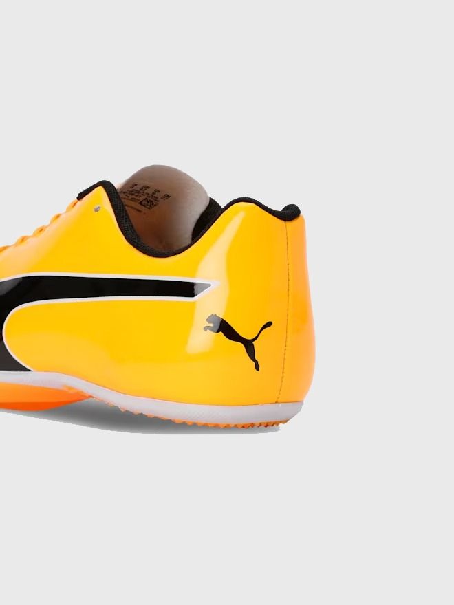 New Project (77).jpg